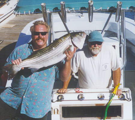 GOLDNBOY.JPG (32563 bytes)