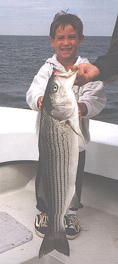 ScotBass.jpg (23493 bytes)